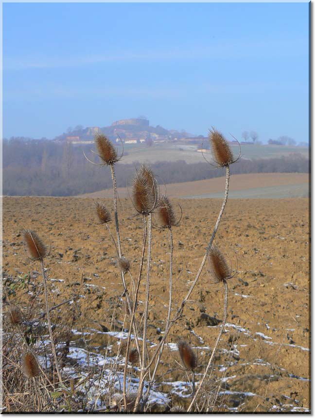 2009-01-11-MOUSSON-BALADE-012.jpg