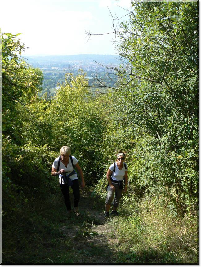 2009-09-13-MOUSSON-BALADE-024.jpg