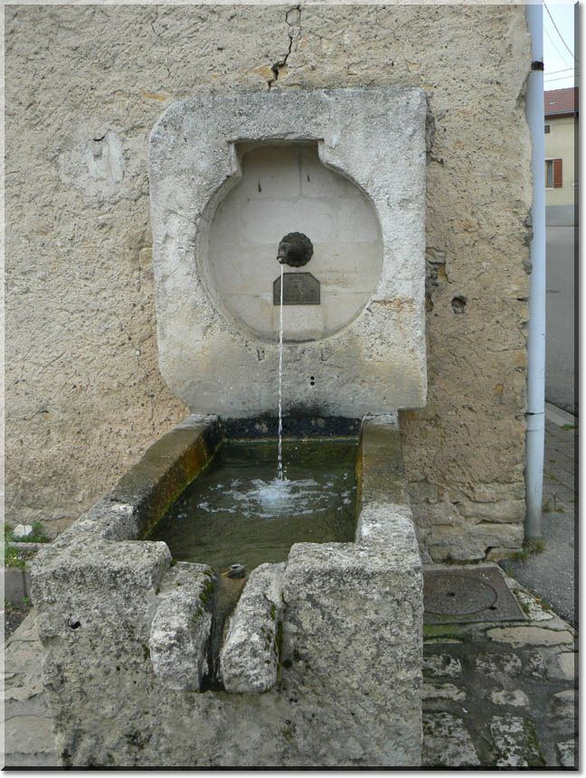 2009-10-11-BLENOD-RANDONNEE-PEDESTRE-019.jpg