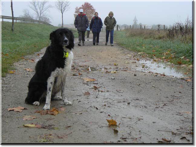 2009-11-08-ATTON-BALADE-036.jpg