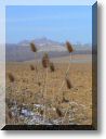 2009-01-11-MOUSSON-BALADE-012.jpg