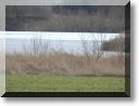 2009-02-15-ATTON-ETANGS-BALADE-008.jpg