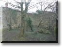 2009-02-22-MOUSSON-ETANGS-BALADE-003.jpg