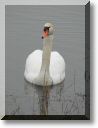 2009-02-22-MOUSSON-ETANGS-BALADE-013.jpg