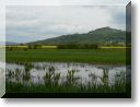 2009-04-26-ETANGS-BALADE-023.jpg