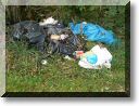 2009-10-25-ETANGS-BALADE-015.jpg