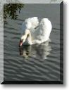 2009-10-25-ETANGS-BALADE-034.jpg