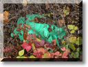 2009-11-08-ATTON-BALADE-010.jpg