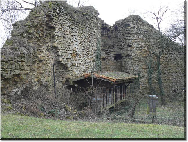 2010-02-07-BALADE-MOUSSON-10.jpg