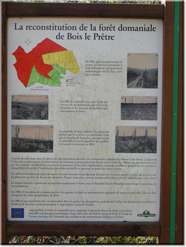 2010-04-05-BALADE-PERE-HILARION-033.jpg