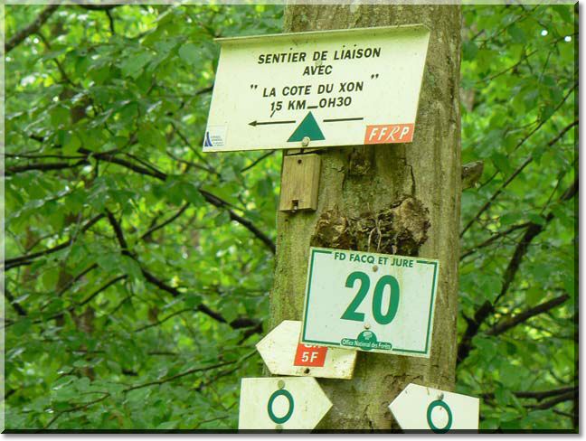 2010-05-09-BALADE-MOUSSON-029.jpg