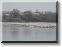 2010-02-14-BALADE-ETANGS-MOUSSON-003.jpg