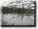 2010-03-14-BALADE-ETANGS-009.jpg