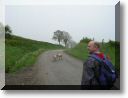 2010-05-09-BALADE-MOUSSON-013.jpg
