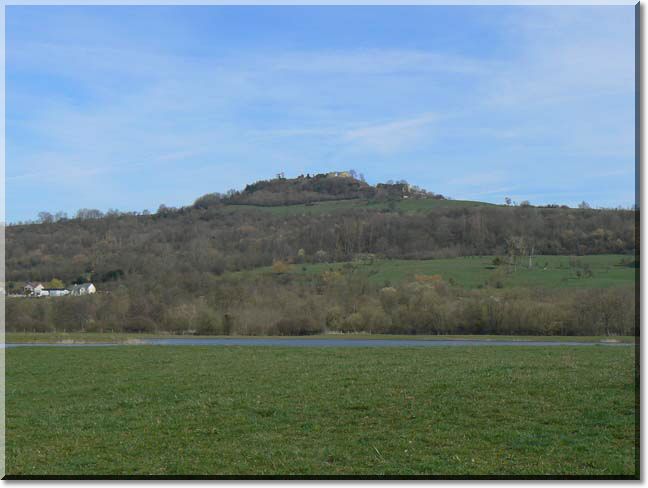 2011-03-20-BALADE-ETANGS-013.jpg