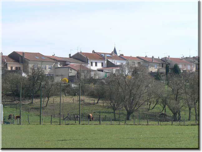 2011-03-20-BALADE-ETANGS-049.jpg