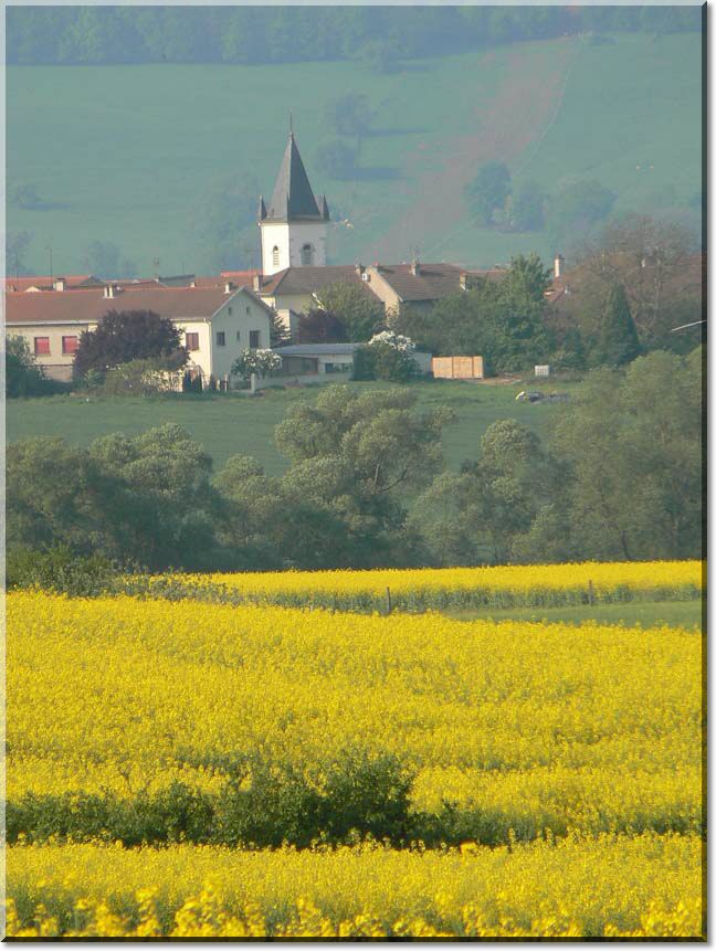 2011-04-25-1-BALADE-MOUSSON-003.jpg