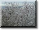 2011-01-02-BALADE-MOUSSON-IF-029.jpg