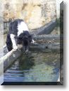 2011-01-02-BALADE-MOUSSON-IF-036.jpg