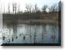 2011-01-30-BALADE-ATTON-010.jpg