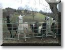 2011-02-06-BALADE-MOUSSON-020.jpg