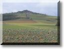 2011-02-27-BALADE-MOUSSON-004.jpg
