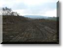 2011-03-06-BALADE-MOUSSON-002.jpg