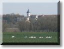2011-03-20-BALADE-ETANGS-019.jpg
