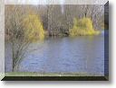 2011-03-20-BALADE-ETANGS-036.jpg