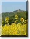 2011-04-25-1-BALADE-MOUSSON-001.jpg