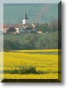 2011-04-25-1-BALADE-MOUSSON-003.jpg