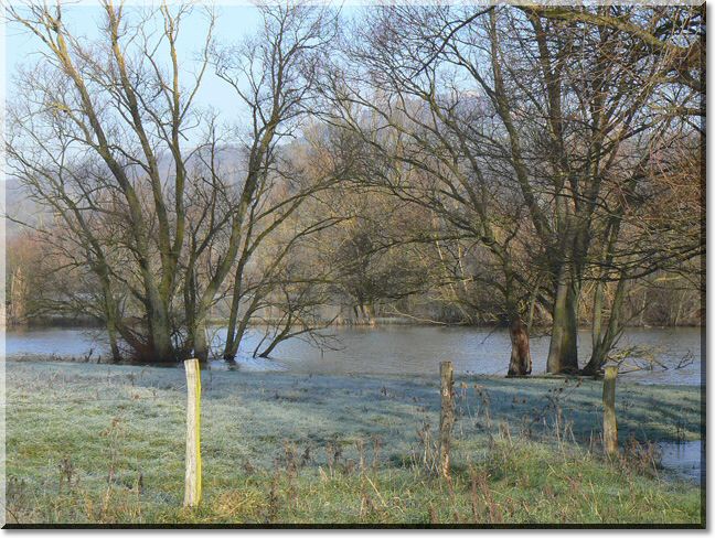 2012-01-15-BALADE-ETANGS-007.jpg