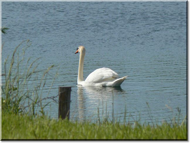 2012-05-13-BALADE-ETANGS-005.jpg