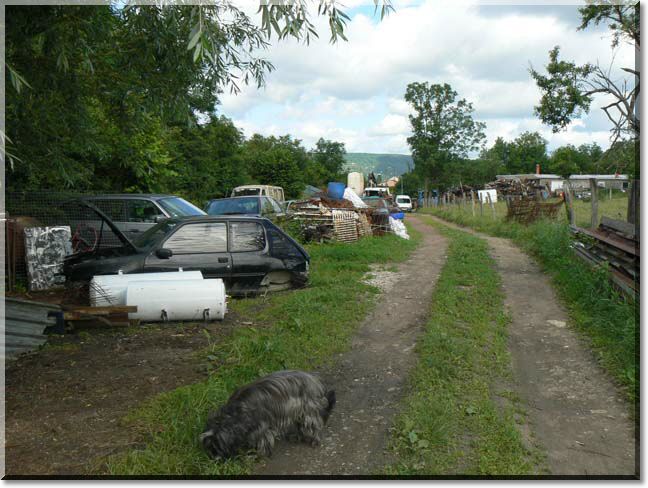 2012-06-17-BALADE-MOUSSON-004.jpg