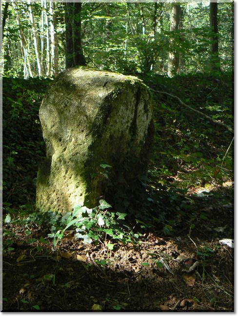 2012-07-22-BALADE-NORROY-002.jpg