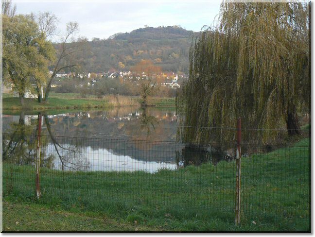 2012-11-18-BALADE-ETANGS-018.jpg