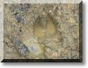 2012-07-22-BALADE-NORROY-012.jpg