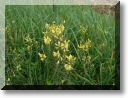 2012-07-22-BALADE-NORROY-026.jpg