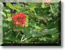 2012-07-22-BALADE-NORROY-031.jpg