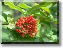 2012-07-22-BALADE-NORROY-032.jpg