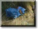 2012-09-02-BALADE-ETANGS-010.jpg