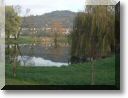 2012-11-18-BALADE-ETANGS-018.jpg