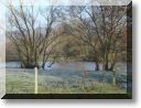 2012-01-15-BALADE-ETANGS-007.jpg