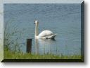 2012-05-13-BALADE-ETANGS-005.jpg