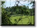 2012-05-27-BALADE-MOUSSON-010.jpg