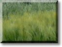 2012-05-27-BALADE-MOUSSON-025.jpg