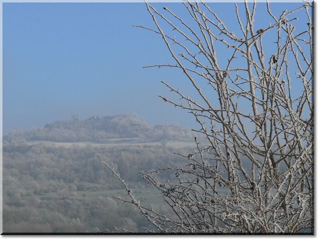 2013-02-10-ATTON-BALADE-ETANGS-012.jpg