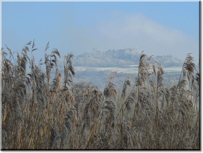 2013-02-10-ATTON-BALADE-ETANGS-018.jpg