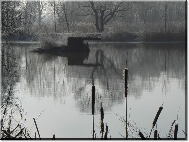 2013-02-10-ATTON-BALADE-ETANGS-023.jpg