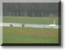 2013-01-13-ATTON-BALADE-ETANGS-003.jpg
